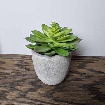 Kunstig plante, sølvroset (echeveria elegans) i krukke Højde 9 cm