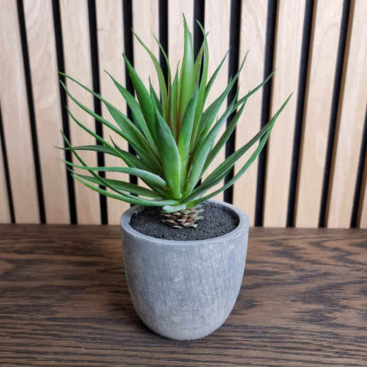 Kunstig plante, Agave i krukke Højde 9 cm