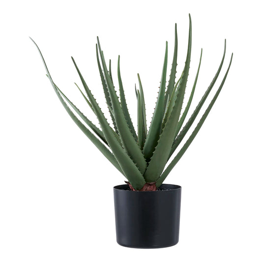 Kunstig plante, Aloe Vera